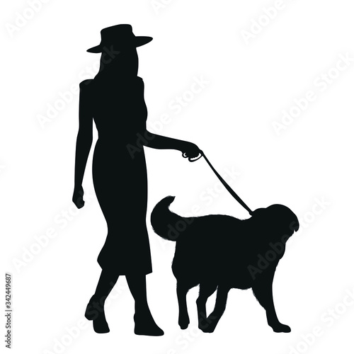Silhouette Of A Woman Carrying Her Dog Walking
