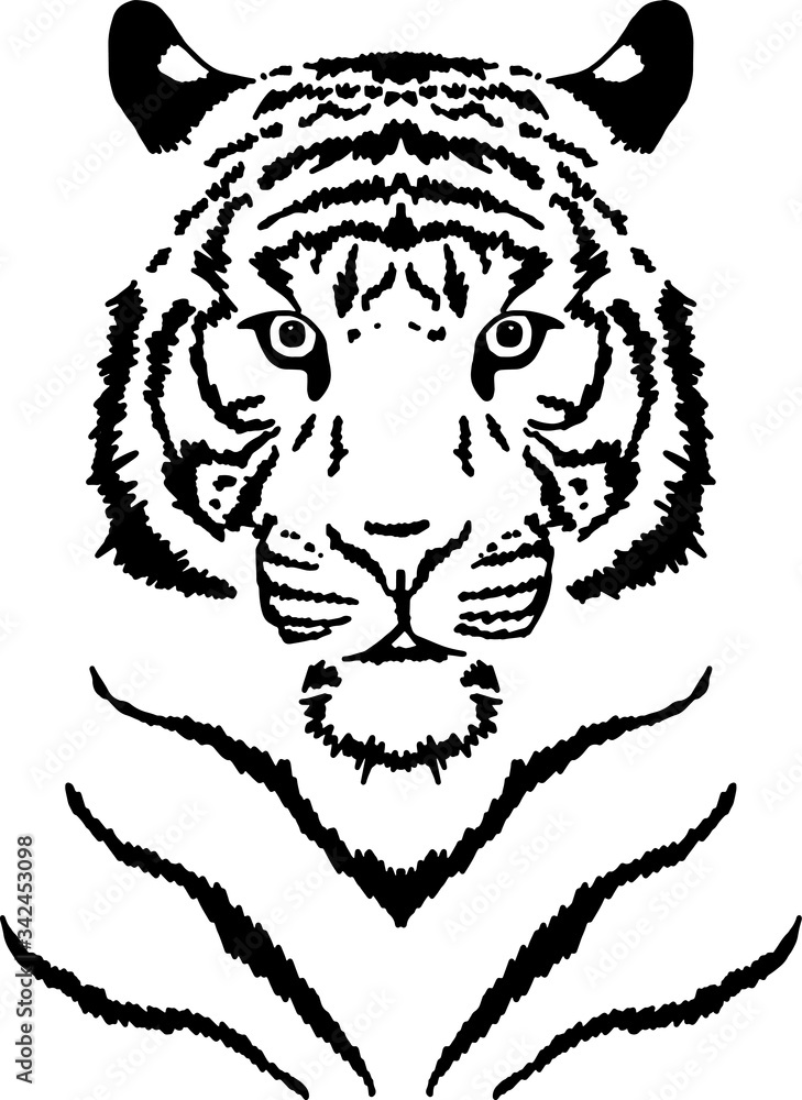tiger black and white vector illustration frontal portrait tiger black and white vector illustration frontal portrait