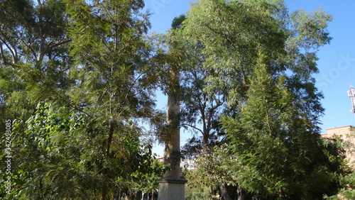 Murcia is an ancient city in Spain