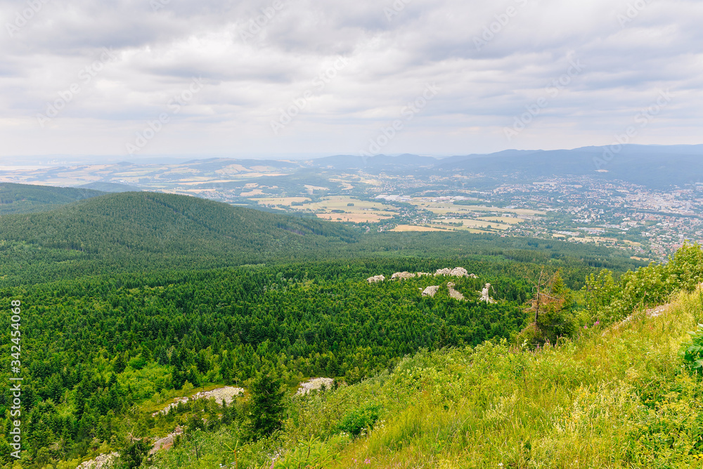 mountain landscape in summer