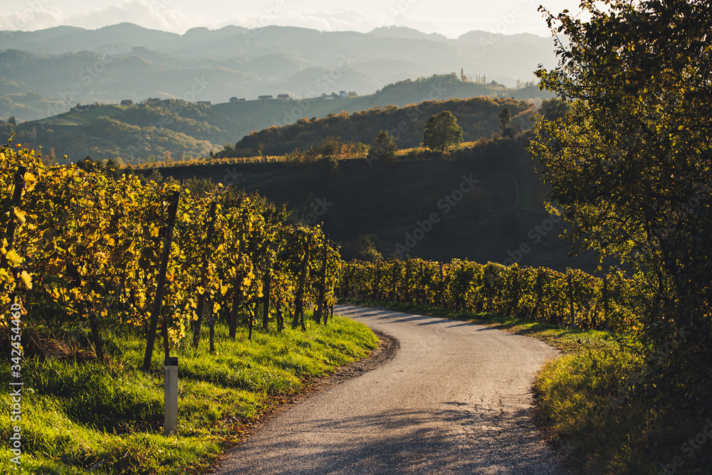 Slovenian and Austrian wine road