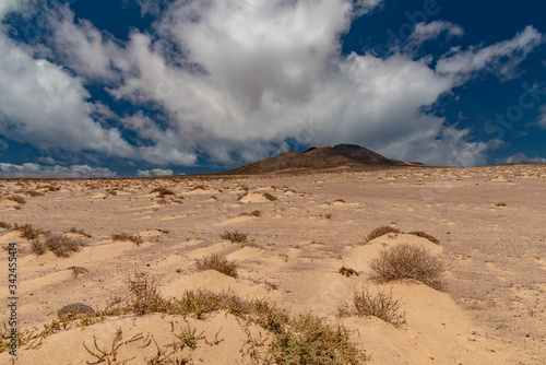 Cofete beach Canary Island of Fuerteventura
