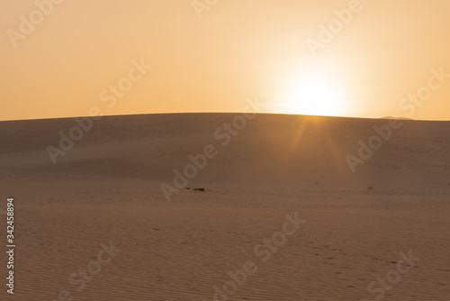 Sunset over the sand dunes  Canary Island of Fuerteventura