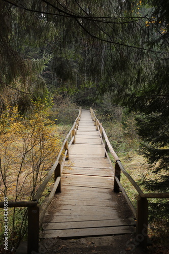 wooden footbridge with handrails in the forest, summer time. Tourist attraction, tourism destination