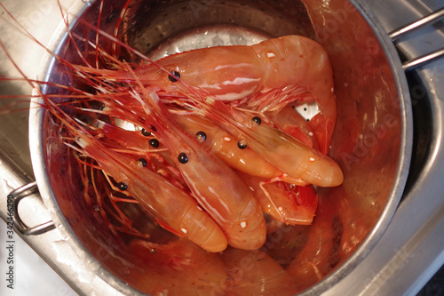 Fresh spot prawns in a stainless steel sieve ready to be cooked or grilled photo