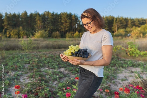 Beautiful smiling female gardener with basket with crop of green and blue grapes