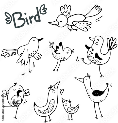 Birds set in vector. Black and white cute illustration.