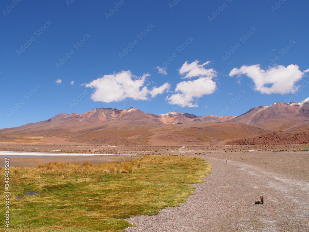 Green grass, laguna, mountains and salt lake, Altiplano, Bolivia. Copy space for text Green grass, laguna, mountains and salt lake, Altiplano, Bolivia. Copy space for text