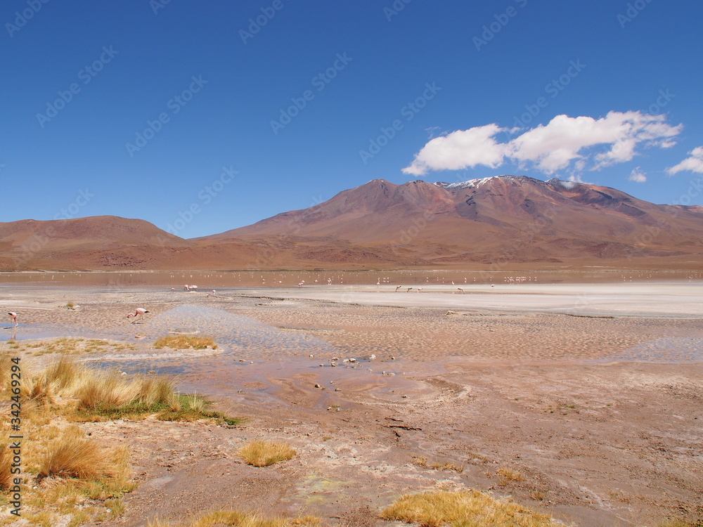 Green grass, laguna, mountains and salt lake, Altiplano, Bolivia. Copy space for text Green grass, laguna, mountains and salt lake, Altiplano, Bolivia. Copy space for text