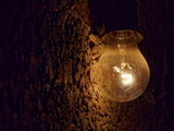 Light bulb on a dark rough stone background. Gloomy dark background.