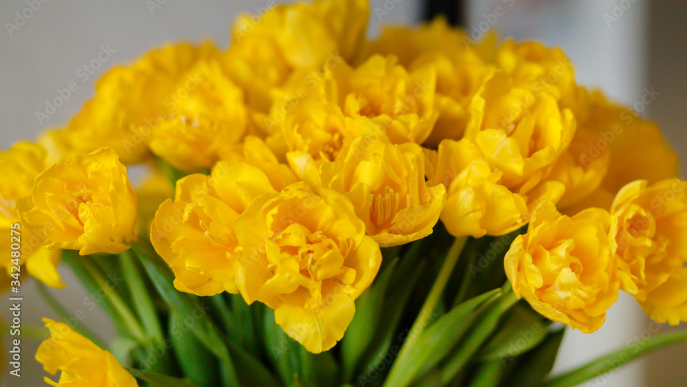 Flower vase with yellow tulips. The concept of the holiday birthday, March 8, mother's day, date, Valentine's Day Flower vase with yellow tulips. The concept of the holiday birthday, March 8, mother's day, date, Valentine's Day