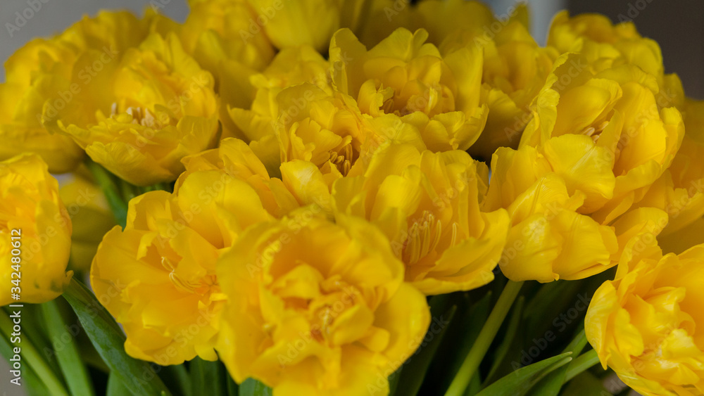 Flower vase with yellow tulips. The concept of the holiday birthday, March 8, mother's day, date, Valentine's Day Flower vase with yellow tulips. The concept of the holiday birthday, March 8, mother's day, date, Valentine's Day