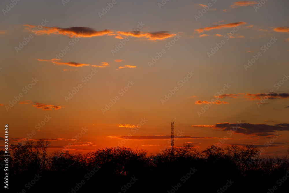 Fototapeta premium sunset in the sky