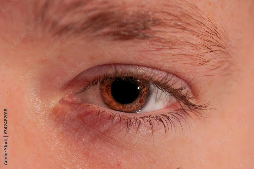 Fototapeta premium close up of Young eye