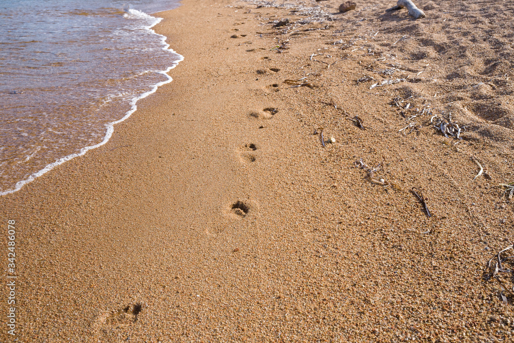 footprints, left on the beach by a person passing by. footprints, left on the beach by a person passing by.