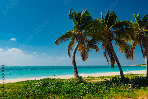 Caribbean island of Anguilla with palm trees and white beaches © DD25