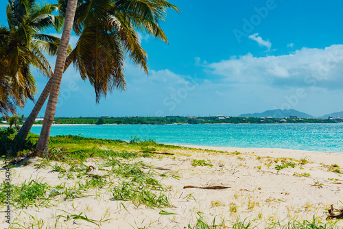 Caribbean island of Anguilla with palm trees and white beaches