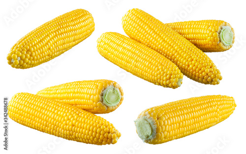 Corn isolated. Corns on white. Sweet corn with clipping path.