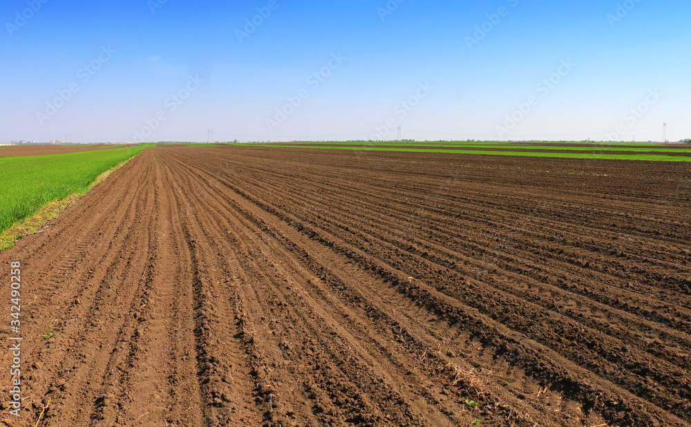 Plowed field in spring time with blue sky