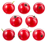 Red currant isolated. Currant red on white background. Currant red isolated. Currants on white.  With clipping path.