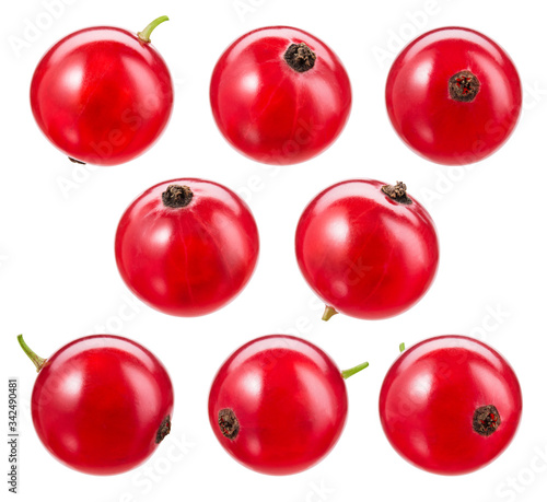 Red currant isolated. Currant red on white background. Currant red isolated. Currants on white.  With clipping path. photo