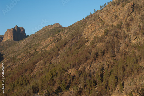 Slope of the Juncal ravine and risco Chirimique in the background. The Nublo Rural Park. Tejeda. Gran Canaria. Canary islands. Spain.