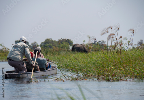 Tourist in Mokoro boats on water in the Okavango Delta in Botswana photo