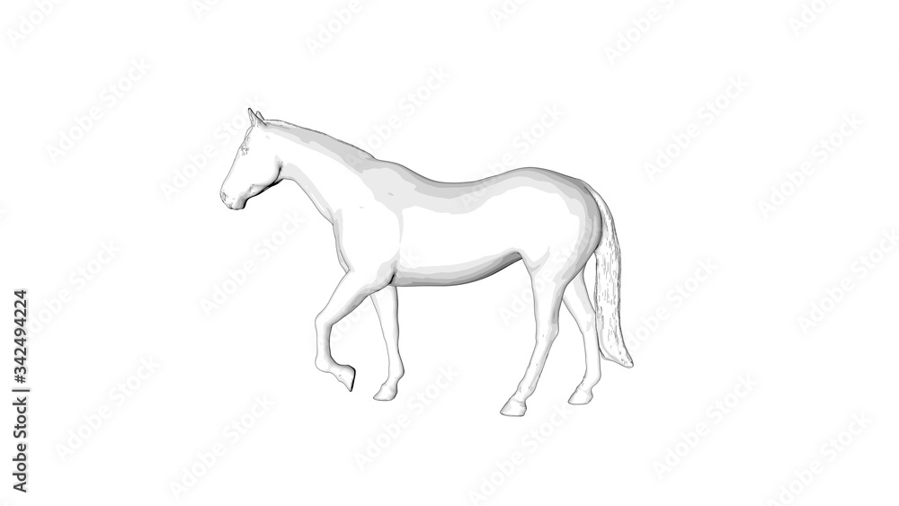 Fototapeta premium horse sketch illustration