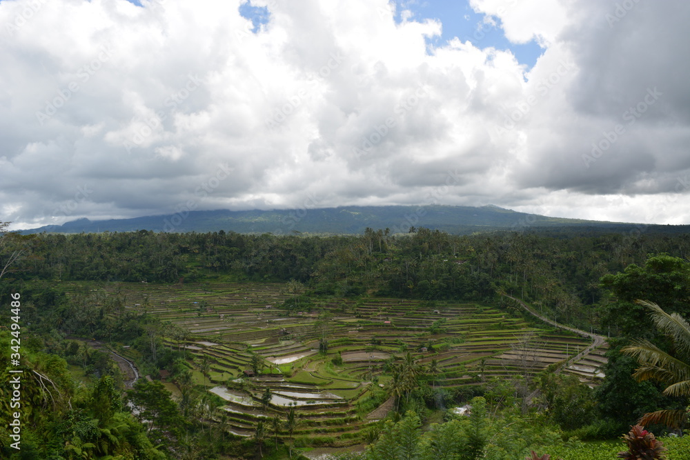 Reisfelder, Bali, Jatiluwih, Tegalalang, Sidemen, Vulkan, Agung, Lake, Berge, Mountain, Danaur, Batur Reisfelder, Bali, Jatiluwih, Tegalalang, Sidemen, Vulkan, Agung, Lake, Berge, Mountain, Danaur, Batur