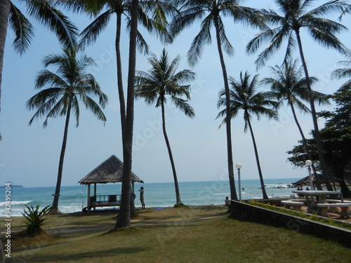 Koh Samui  Strand  Palmen  Thailand