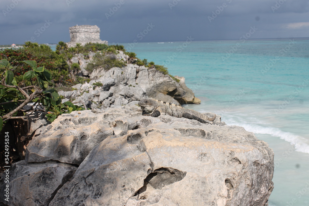Tulum, Ruinen, Yucatan, Quintana Roo, Mexiko 