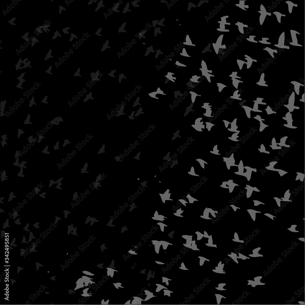flock of birds graphic design vector art flock of birds graphic design vector art