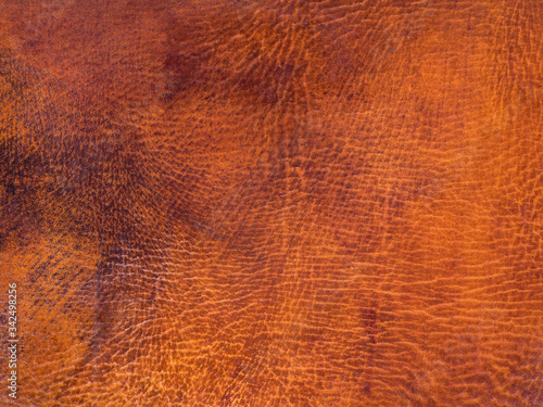 Wallpaper Mural Old orange brown cattle leather texture background Torontodigital.ca