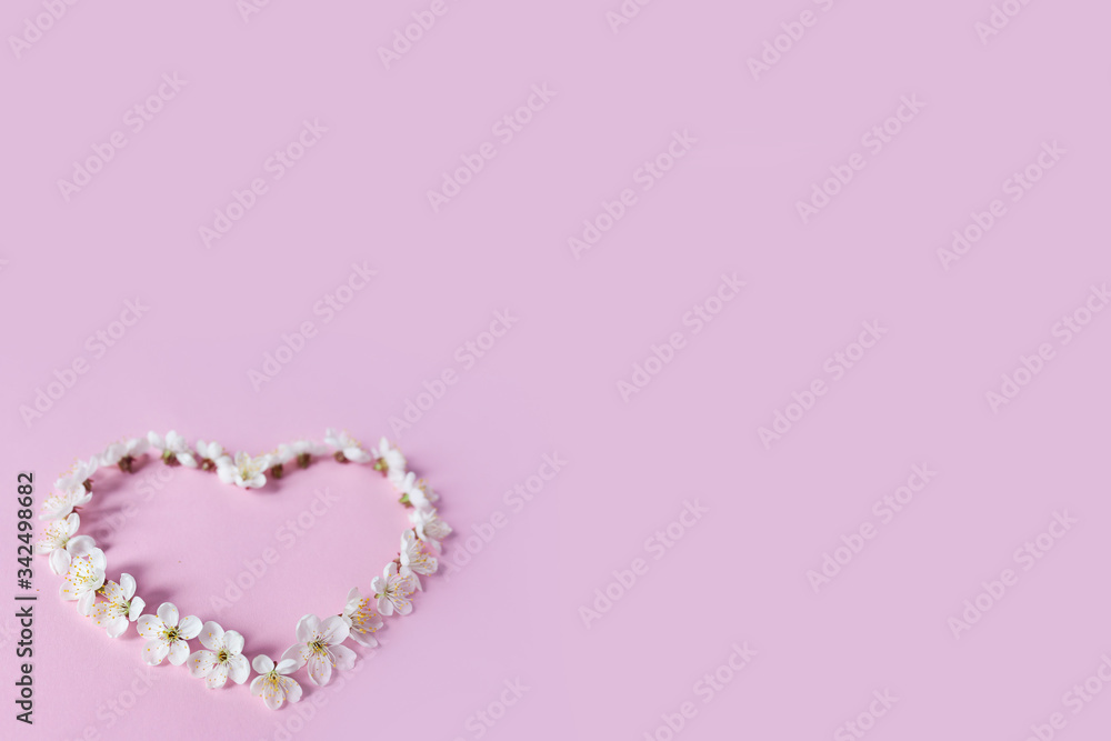 Heart of cherry flowers isolated on color background. Free space for text copyspace