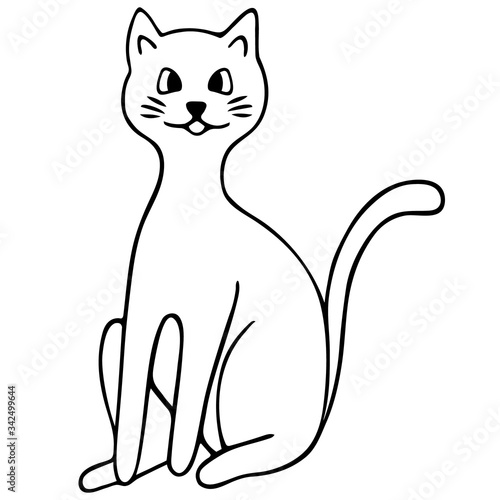 Cat. Vector illustration. Outline on an isolated background. Doodle style. Sketch. Coloring book for children. Lovely pet. A purring creature with a mustache. Fluffy animal. Hand drawing. 