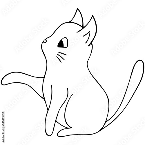 Kitten. Vector illustration. Outline on an isolated background. Doodle style. Sketch. Coloring book for children. Lovely pet. A purring creature with a mustache. Fluffy animal. Hand drawing. 