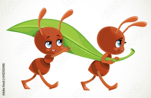 Two cute cartoon ants carry big green juicy blade of grass isolated on a white background