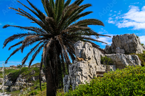 Gearing s Point  Hermanus  South Africa