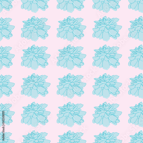 Cute echeveria plant vector repeat pattern. Aqua succulent seamless illustration background.