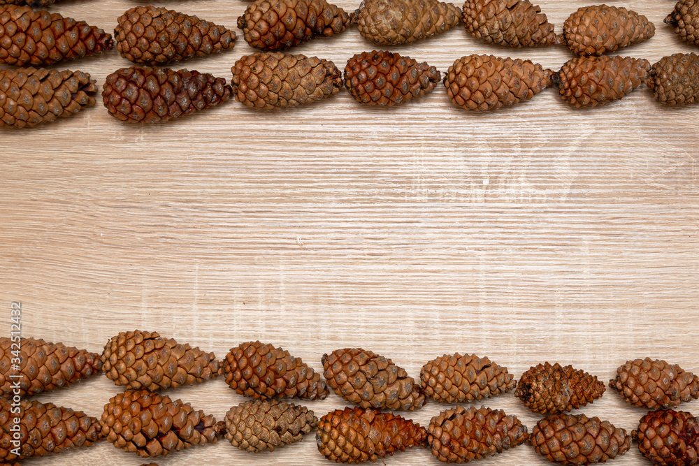 Top vieve pine cones background Top vieve pine cones background