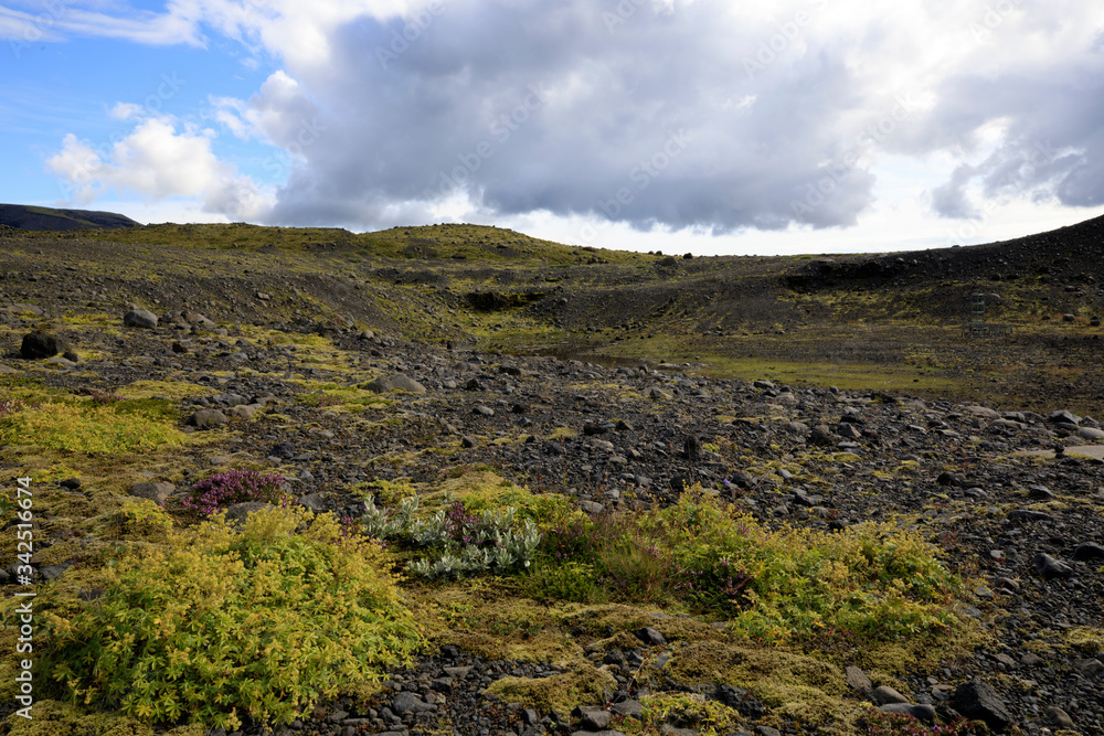 Skaftafell / Iceland - August 18, 2017: Landscape near Skaftafellsjokull glacier, Iceland, Europe