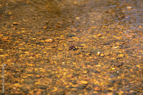 river bed