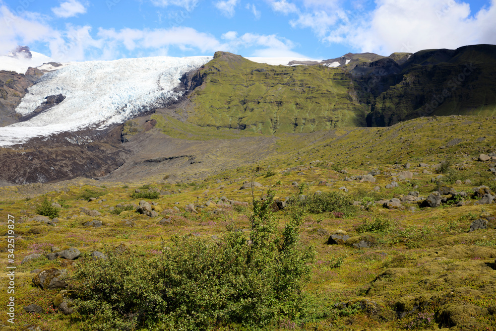 Fototapeta premium Skaftafell / Iceland - August 18, 2017: Landscape near Skaftafellsjokull glacier, Iceland, Europe