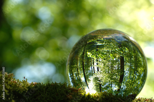 Reflection of forest, trees and moss inside lensball.