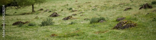 Wallpaper Mural Prairie Torontodigital.ca