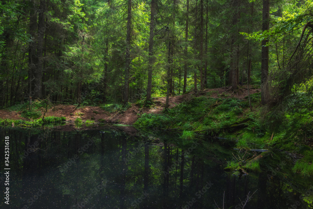 Forest fairytale landscape of Calm lake with dark water in the middle of a forest. Fantasy wild landscape