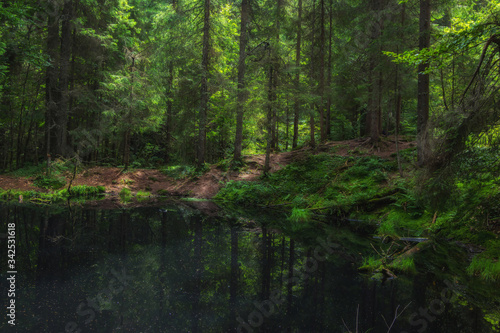Forest fairytale landscape of Calm lake with dark water in the middle of a forest. Fantasy wild landscape