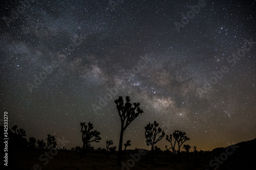 desert night sky with joshua trees under the milky way and stars