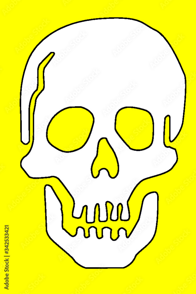 Fototapeta premium teschio colore