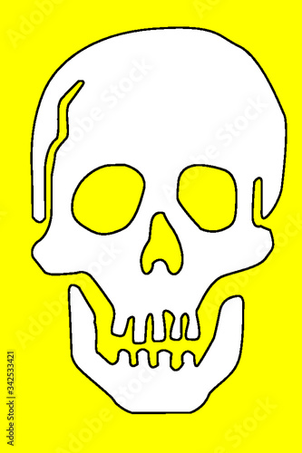 teschio colore